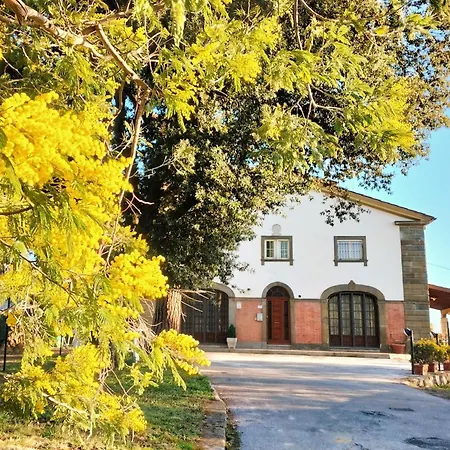 Villa Colle La Fosca - Casa Panoramica Massarosa
